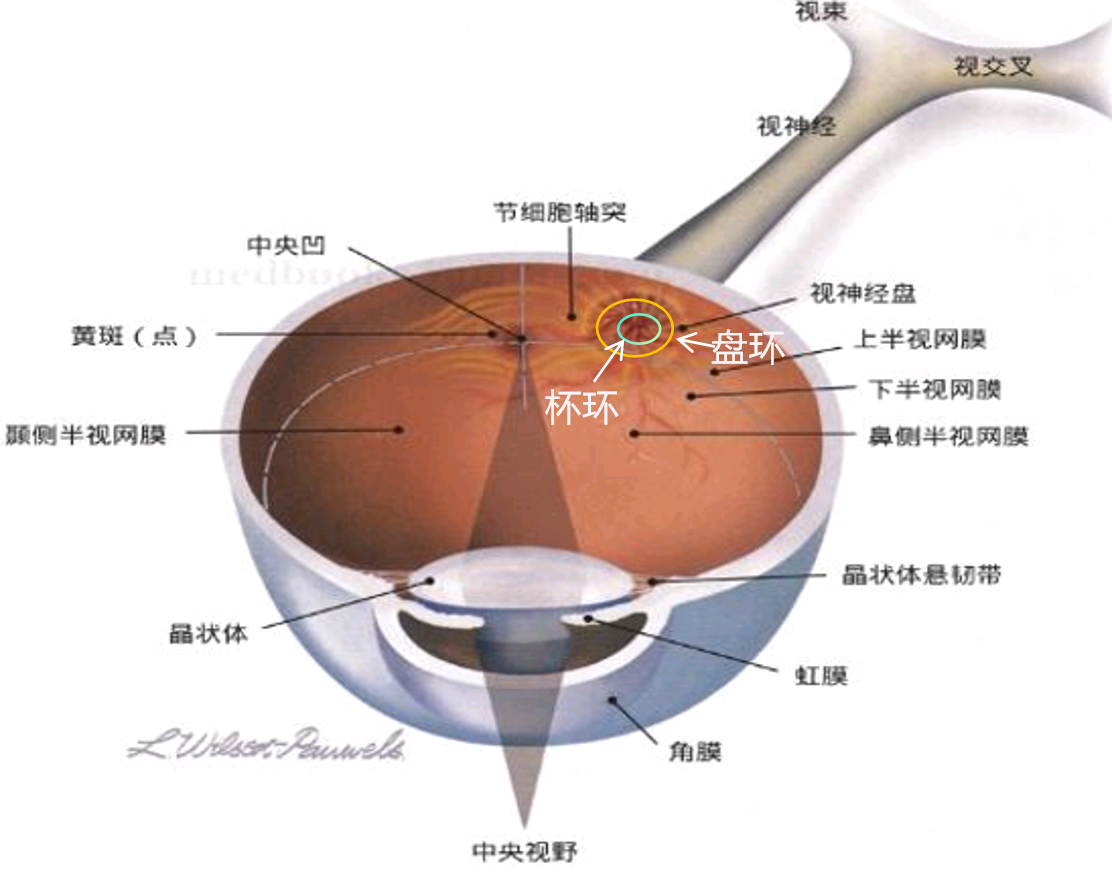 5074a148-f2d0-4ec1-8df7-167052fe0f54.png