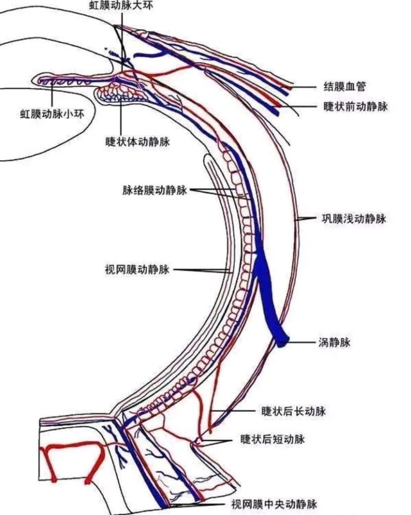 c49f2185-5fc6-4c45-859f-640214007b36.jpg