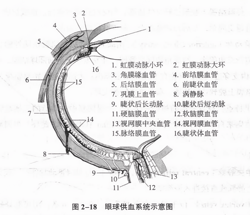 bd2f319606342c9c24fb250916992c3b.png